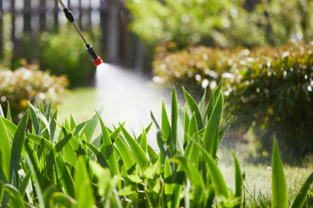 Tamper-Resistant Bait Stations for Rodents in Christopher