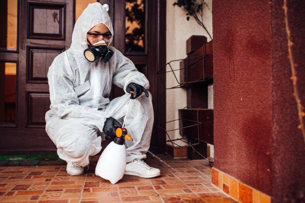 Attic and Crawl Space Rodent Treatment in Christopher