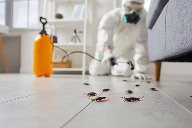 Commercial Rodent Management in Christopher